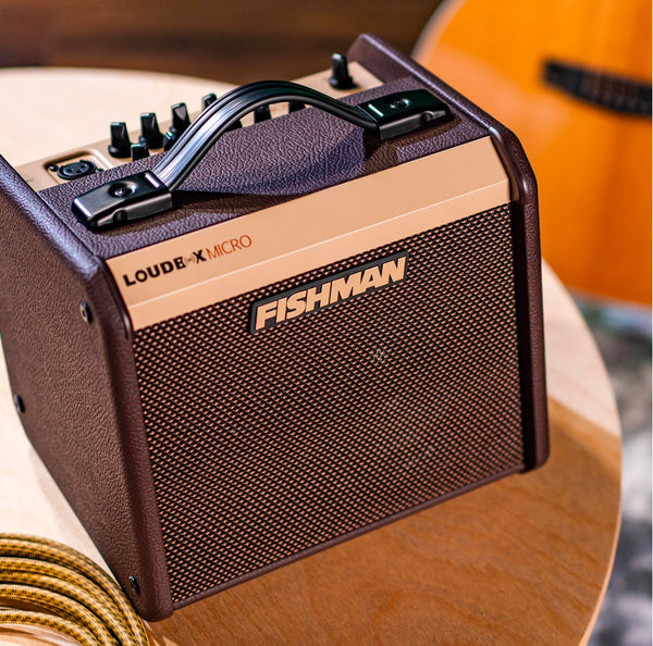 Fishman Loudbox Micro Acoustic Instrument Amplifier