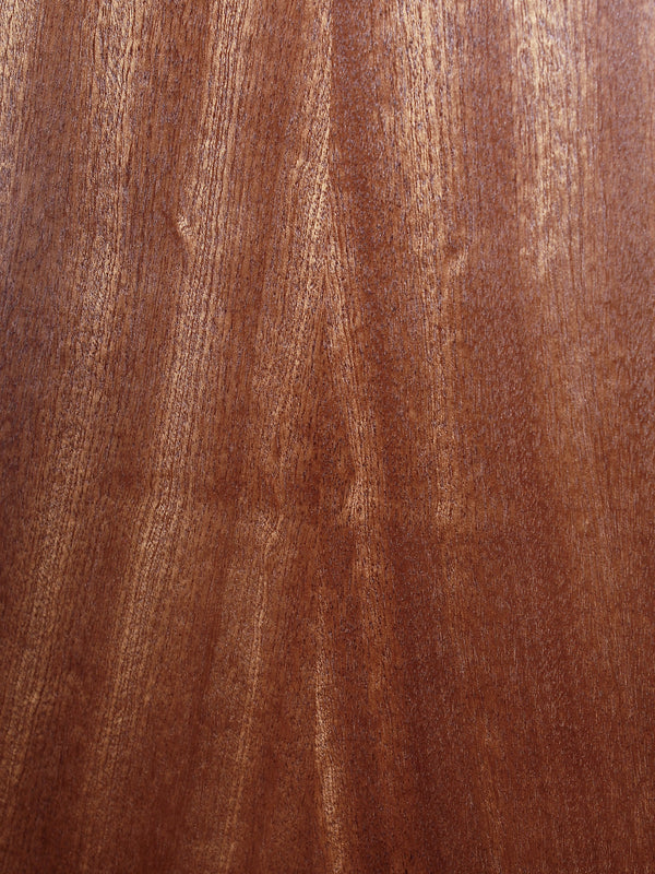 Close up wood grain on Back of Martin 000-Jr acoustic guitar featuring solid Sapele 
