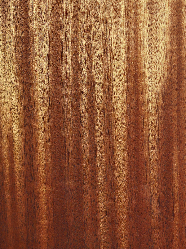 Martin CEO-7 solid mahogany back Close up