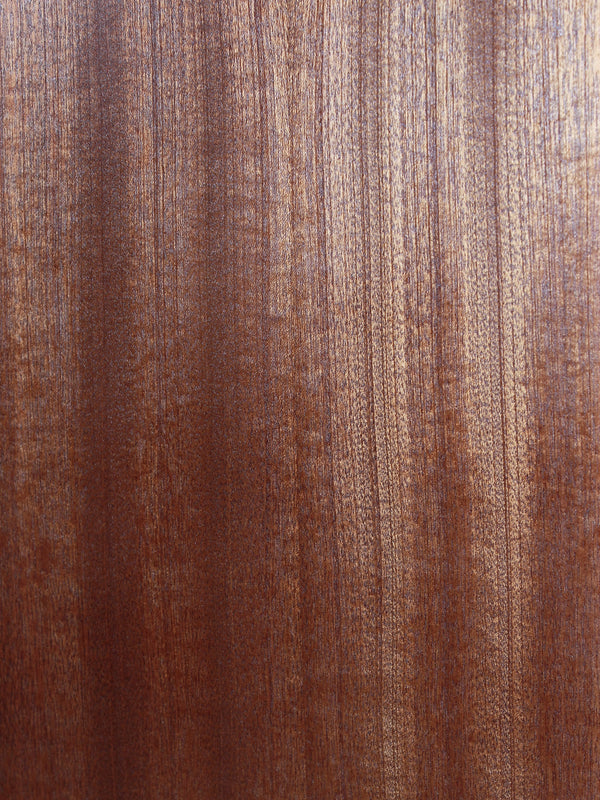Martin D Jr-E acoustic electric guitar sapele close up