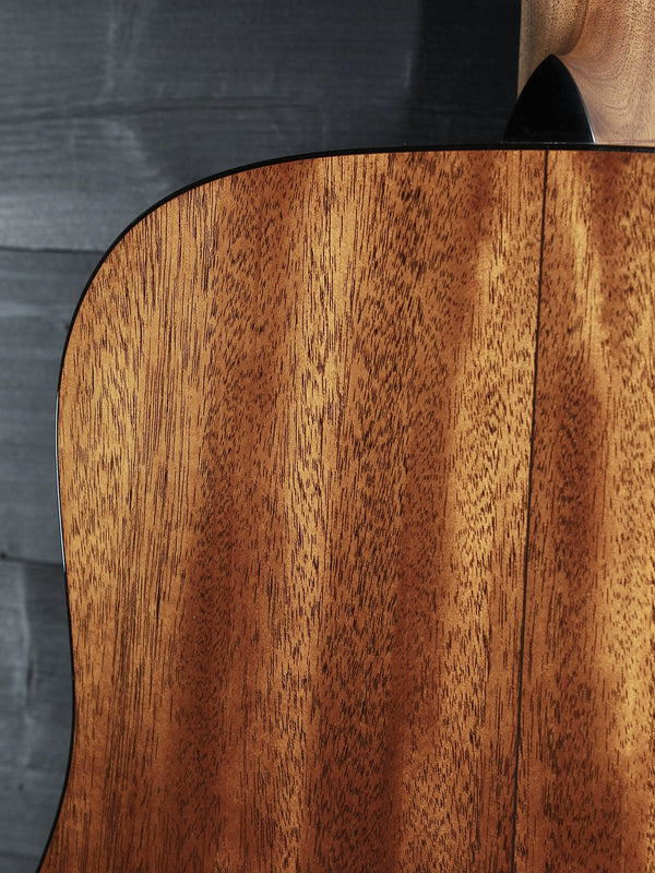 Martin Custom Shop D18 - Adirondack Top / Mahogany Special Edition Acoustic Guitar