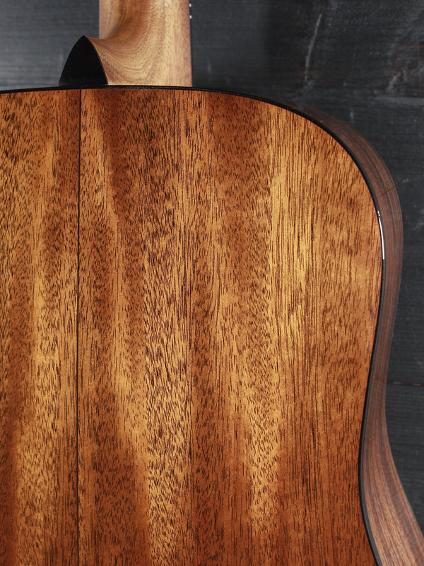 Martin Custom Shop D18 - Adirondack Top / Mahogany Special Edition Acoustic Guitar