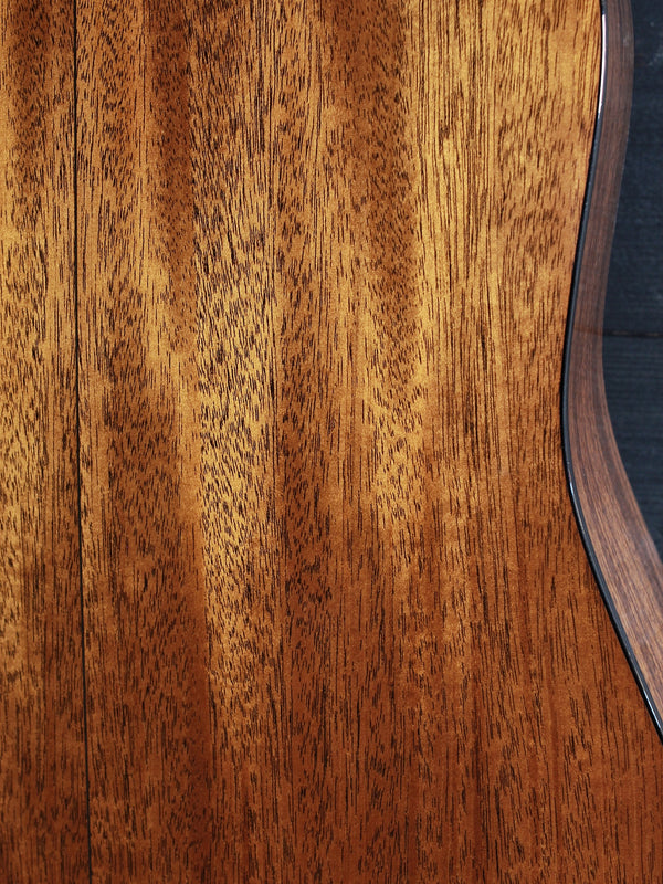 Martin Custom Shop D18 - Adirondack Top / Mahogany Special Edition Acoustic Guitar