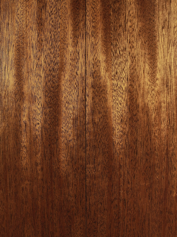 Martin Custom Shop D18 - Adirondack Top / Mahogany Special Edition Acoustic Guitar