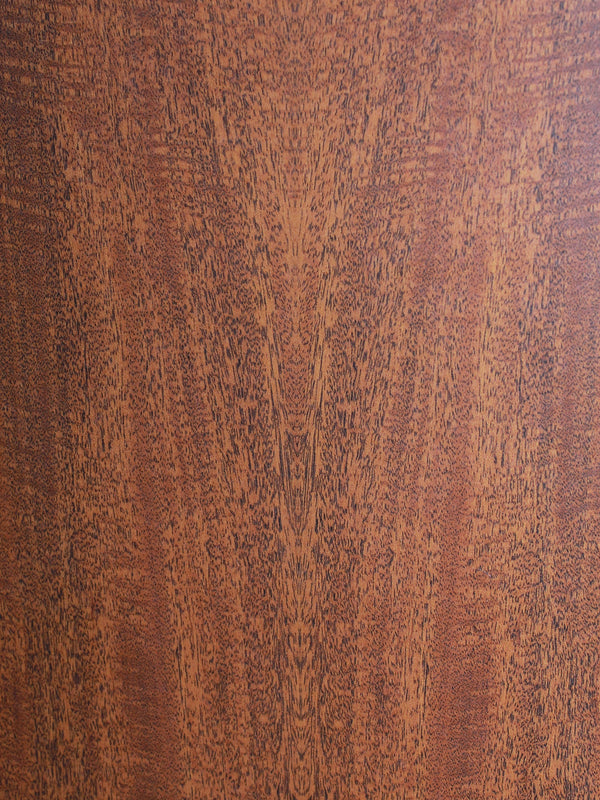 Martin Guitar D-X2E Molly Tuttle Solid Top X Series Acoustic-Electric