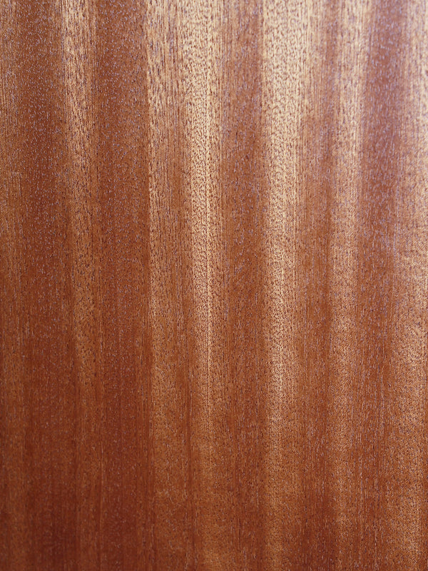 Martin DJr E Solid Wood Junior Series 14-Fret Acoustic-Electric Guitar