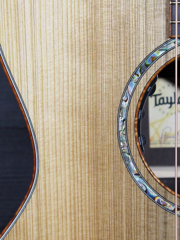 Taylor Claria pickup equipped custom acoustic guitar