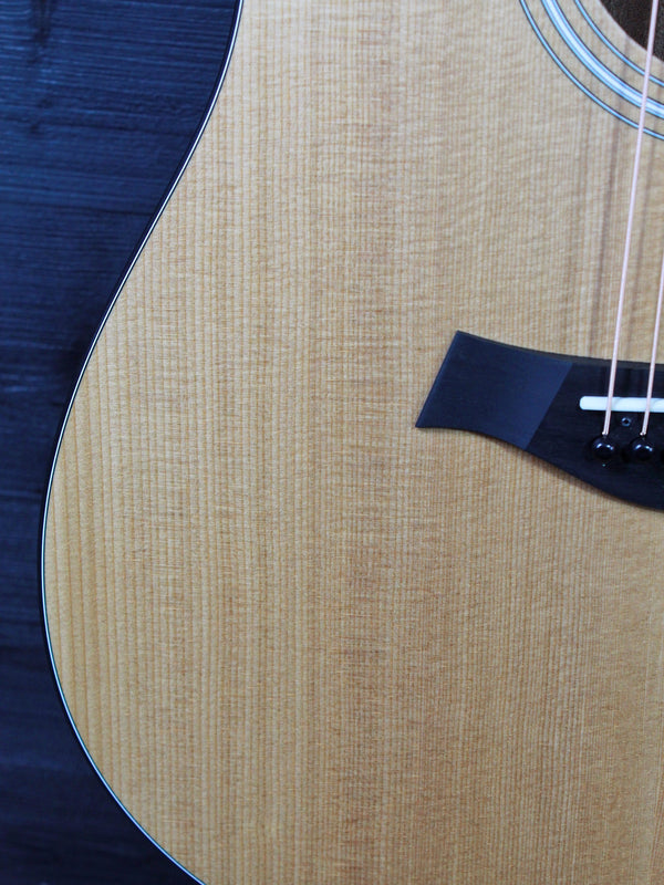 Taylor Guitars 110ce-S Sapele Dreadnought w/ Electronics