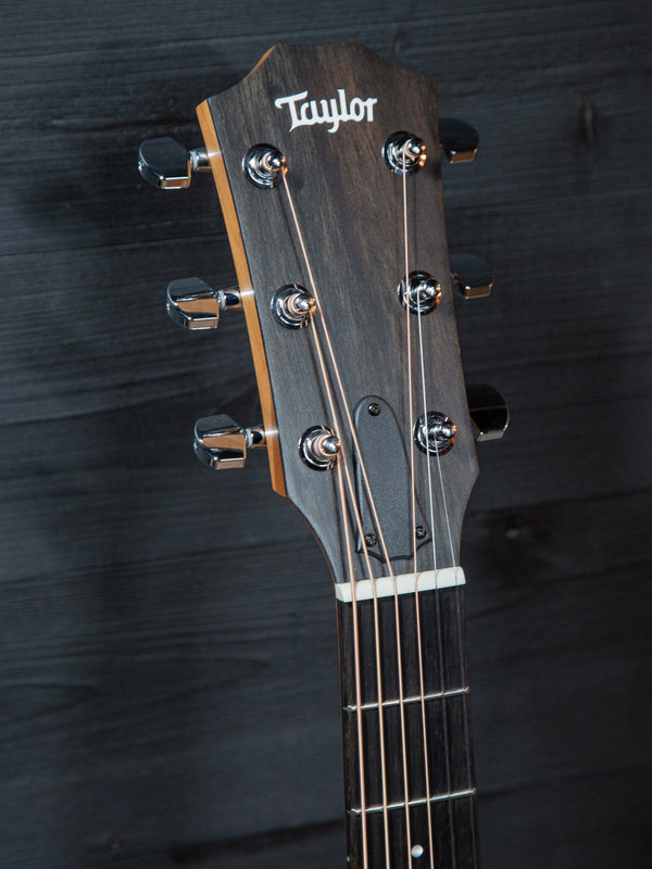Taylor Guitars 110ce-S Sapele Limited Edition Dreadnought w/ Electronics