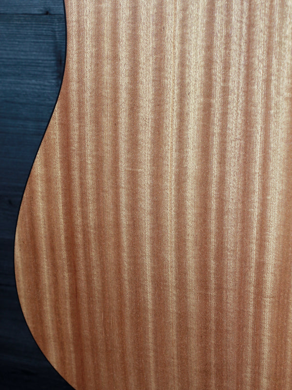 Taylor 110ce acoustic-electric guitar sapele back