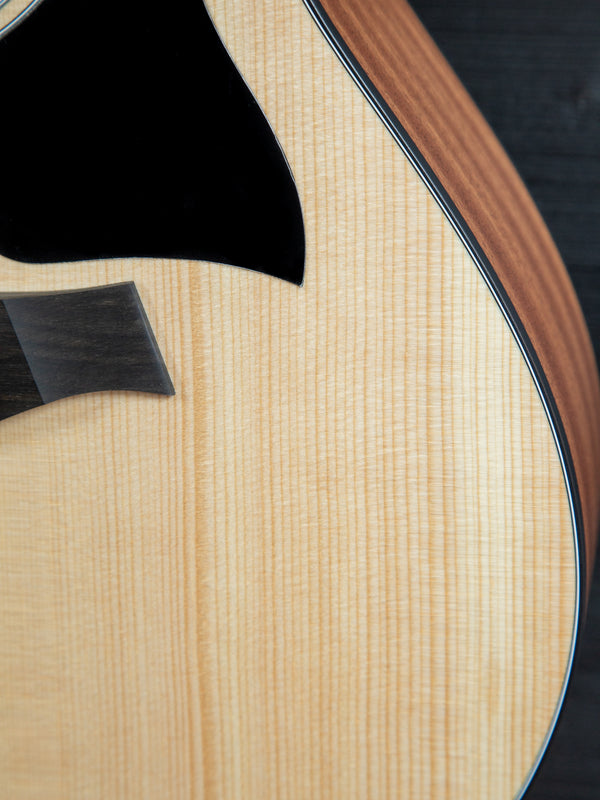 Taylor 112ce-S Sapele Special Edition Grand Concert w/ ES2 Electronics