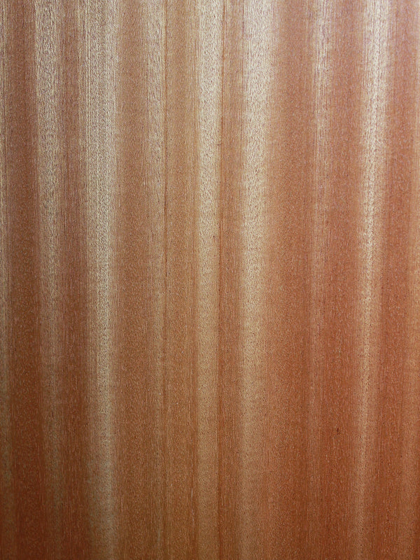 Taylor 114ce Special Edition Dark Tobacco Shaded Edgeburst acoustic guitar Sapele back close up grain