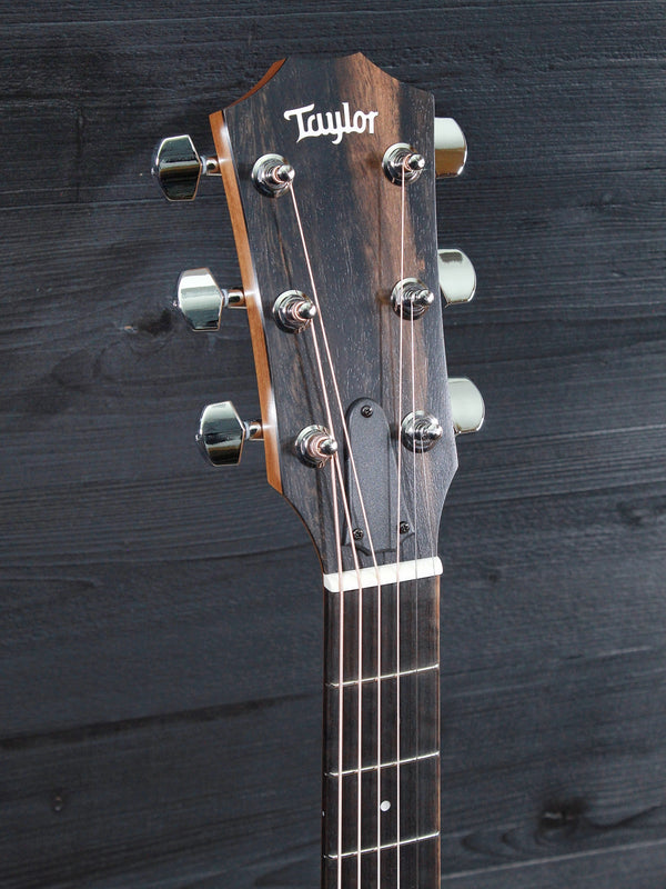 Taylor Guitars 124ce Special Edition Walnut Grand Auditorium w/ Electronics