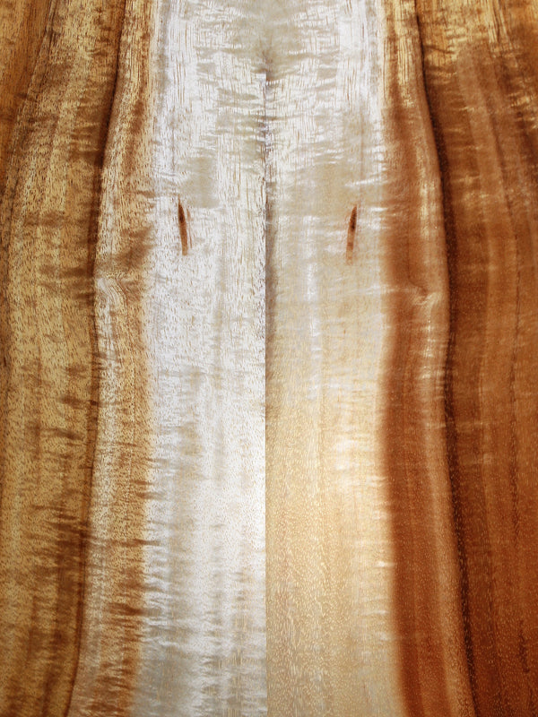 Hawaiian koa back on Taylor 214ce-K Deluxe close up