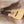 Load image into Gallery viewer, Taylor 214ce-N - Nylon String Walnut Grand Auditorium Acoustic / Electric Guitar
