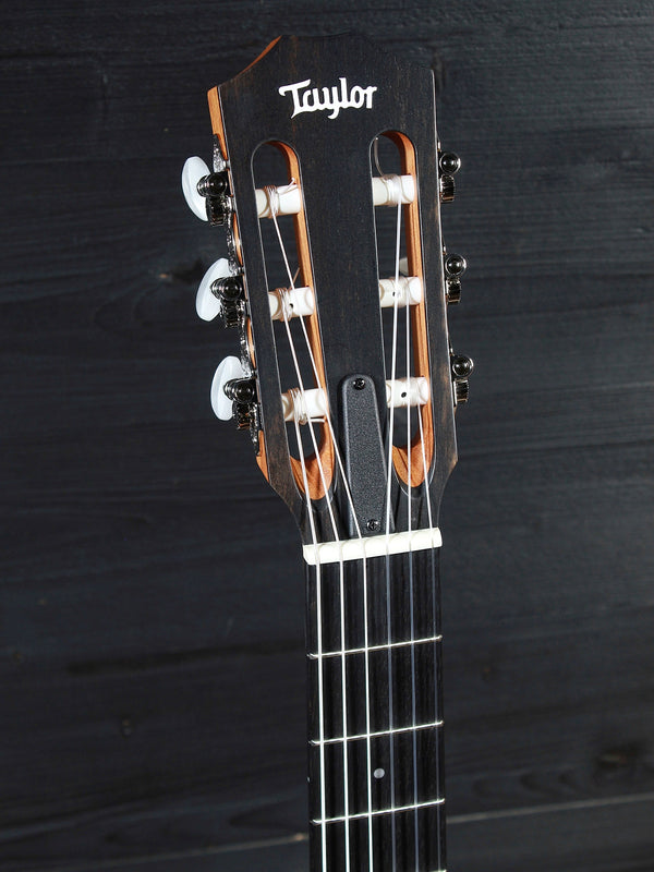 Taylor 214ce-N - Nylon String Walnut Grand Auditorium Acoustic / Electric Guitar