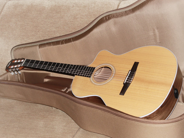 Taylor 214ce-N - Nylon String Walnut Grand Auditorium Acoustic / Electric Guitar