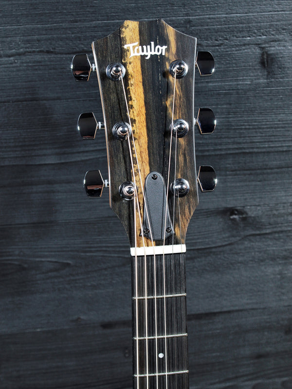 Taylor logo headstock and tuning machines