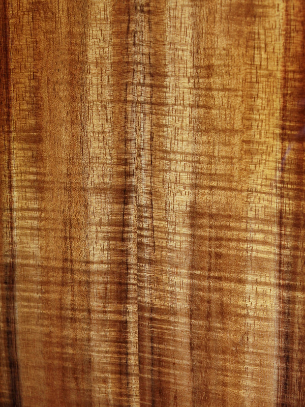 Taylor 224ce-K DLX Koa Acoustic-Electric Guitar | Grand Auditorium Cutaway w/ ES2 Pickup