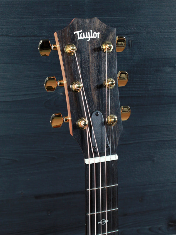 Taylor 224ce K-DLX Koa Deluxe Grand Auditorium Acoustic-Electric Guitar