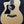 Load image into Gallery viewer, Taylor 254ce Plus Left-Handed 12 String Rosewood Acoustic-Electric Guitar
