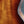 Load image into Gallery viewer,     Taylor 264ce Deluxe 12-string acoustic electric guitar with Shaded Edgeburst finish back view
