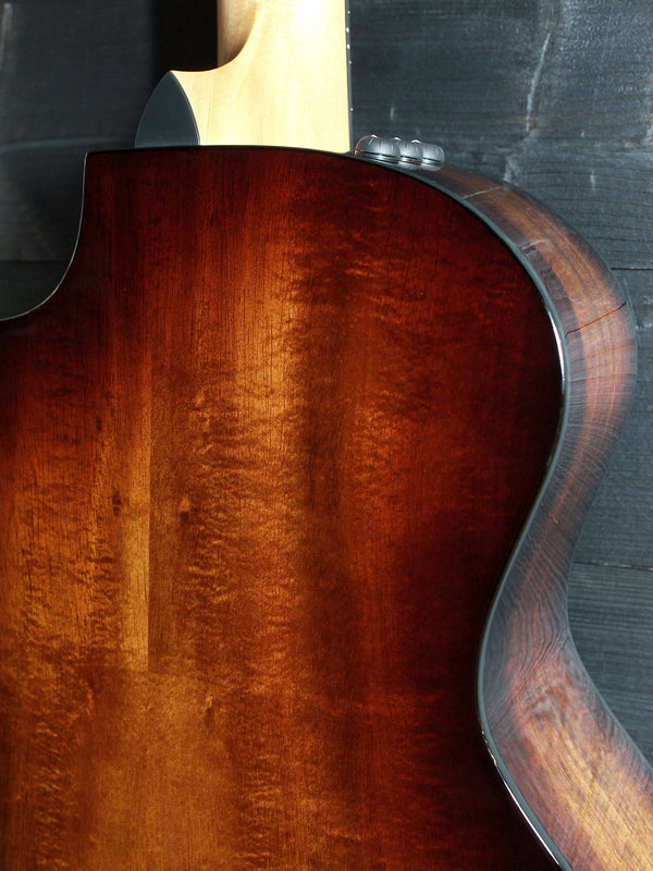     Taylor 264ce Deluxe 12-string acoustic electric guitar with Shaded Edgeburst finish back close up
