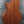 Load image into Gallery viewer, Taylor 312ce Next Generation Grand Concert – Solid Wood Acoustic-Electric Guitar with Claria Pickup System
