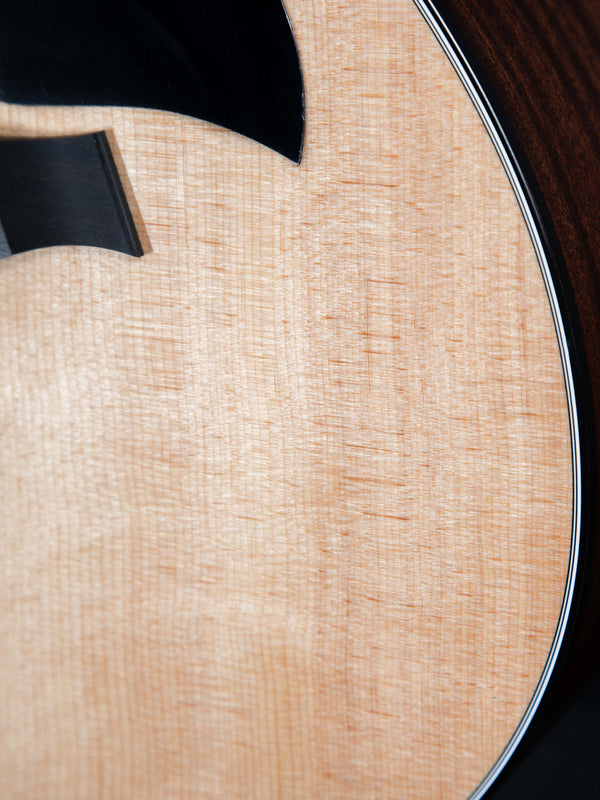 Taylor 314ce V Brace Grand Auditorium - Authorized Online Dealer