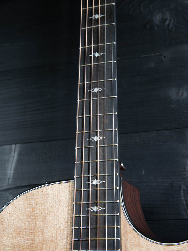 Taylor 314ce V Brace Grand Auditorium - Authorized Online Dealer