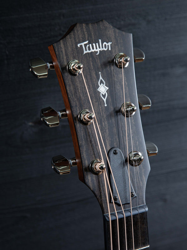 Taylor 314ce V Brace Grand Auditorium - Authorized Online Dealer