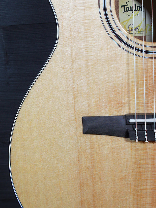 Taylor nylon string acoustic guitar body detail