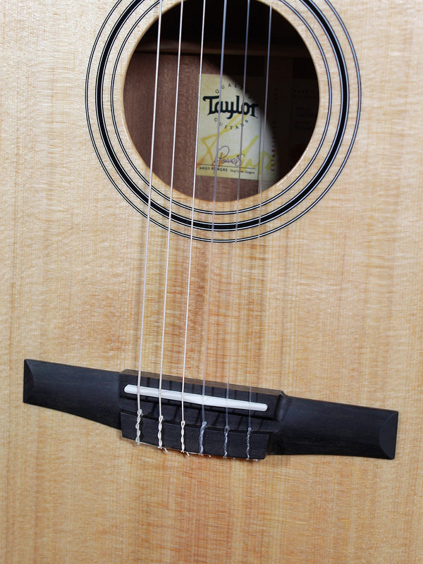Ebony fingerboard on Taylor 314ce-N