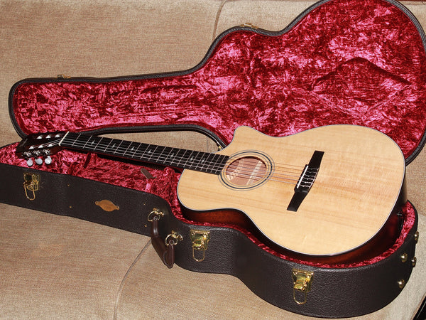 Taylor 314ce-N with deluxe hardshell case