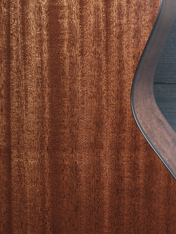 Taylor 314ce-N nylon string acoustic guitar body detail