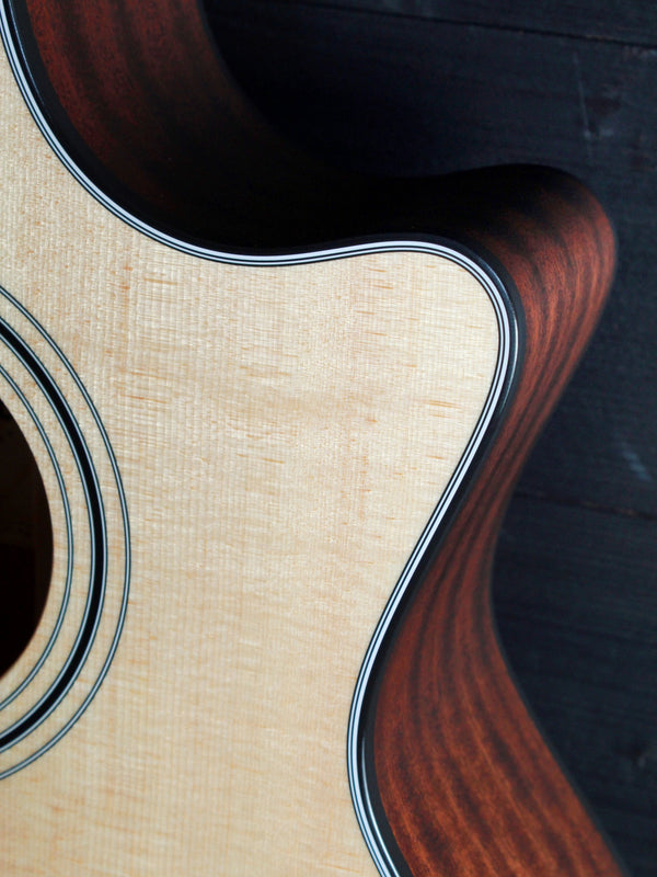 Taylor 314ce N Nylon String w/ ES-N  Electronics