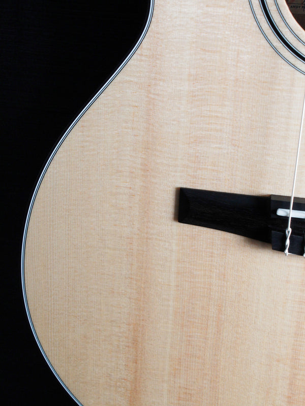 Taylor 314ce N Nylon String w/ ES-N  Electronics