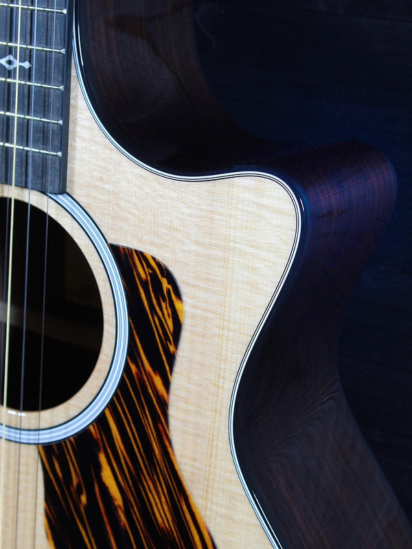 Taylor 414ce 8-String Baritone Acoustic-Electric Guitar – Sitka Spruce / Indian Rosewood – Tone Show Exclusive