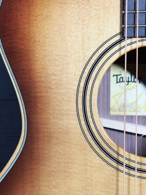 Taylor 414ce rosette