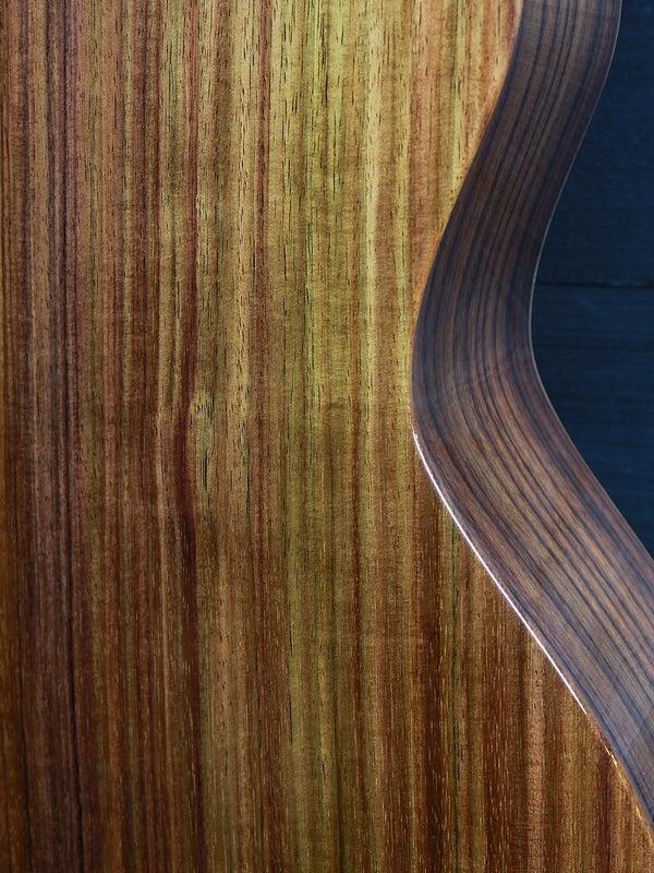 Taylor 414ce Studio SEB Rosewood