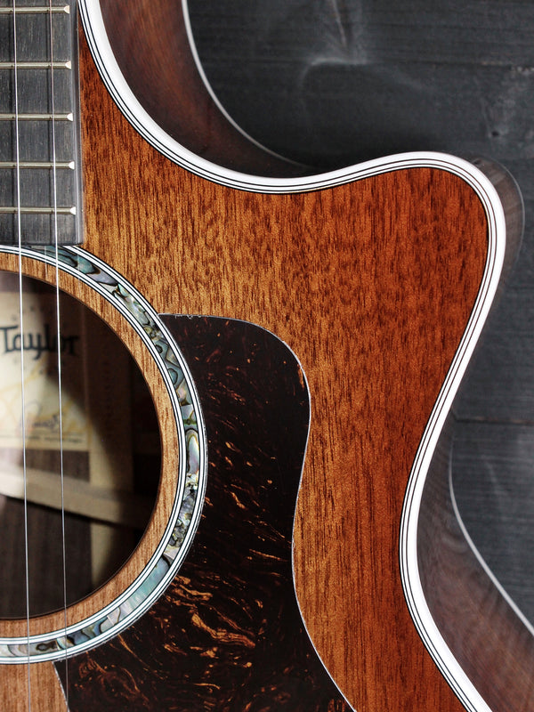 Taylor 424ce Special Edition Walnut/Walnut Shaded Edgeburst