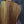 Load image into Gallery viewer, Taylor 712ce 12-Fret Grand Concert Acoustic-Electric Guitar (2022) – Rosewood/Sitka Spruce – Mint Condition
