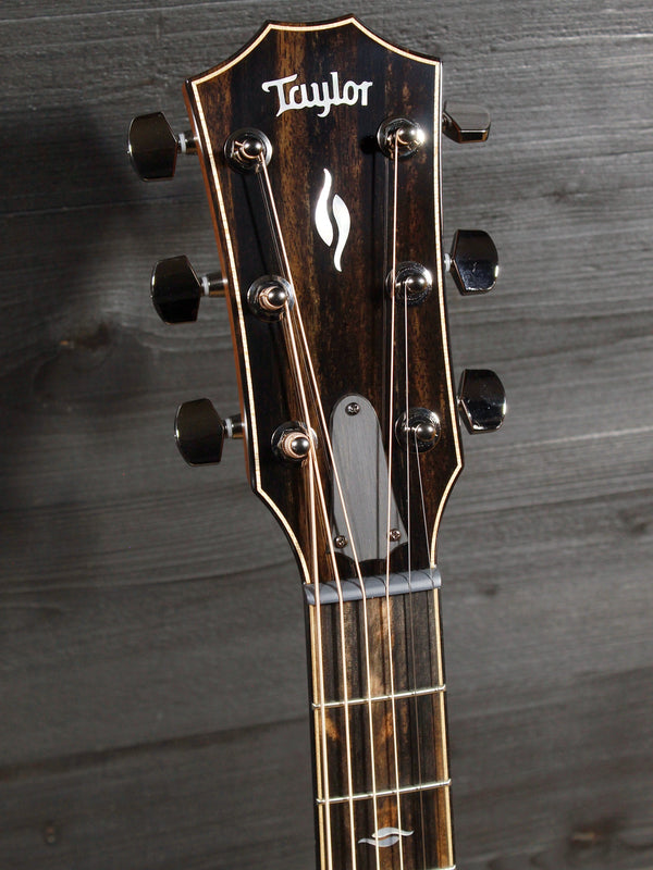 Taylor 814ce Limited Edition Casablanca Beige Metallic acoustic guitar headstock and tuners