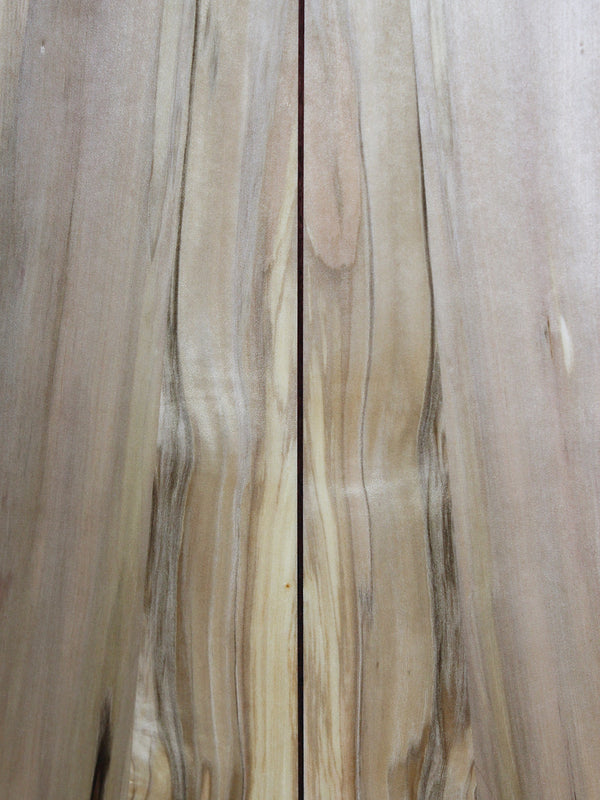 Taylor 814ce Special Edition – Blackheart Sassafras | Tone Show Exclusive