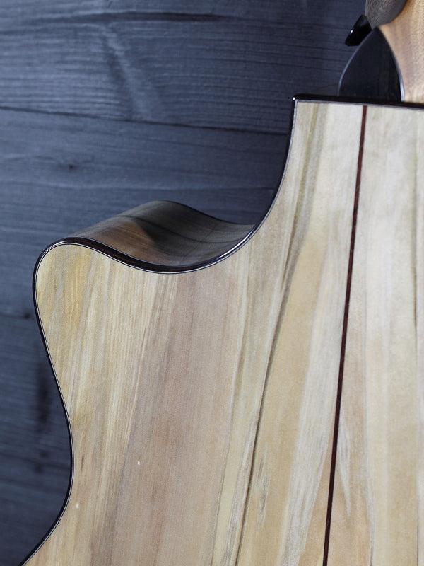 Taylor 814ce Special Edition – Blackheart Sassafras | Tone Show Exclusive