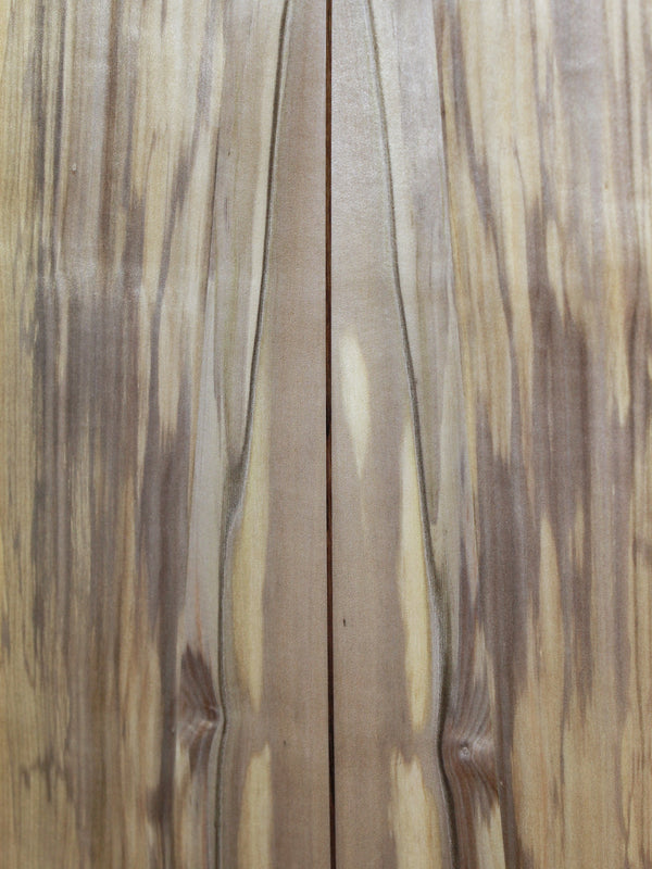 Taylor 814ce Special Edition – Blackheart Sassafras | Tone Show Exclusive