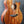 Load image into Gallery viewer, Taylor 50th Anniversary 924ce-Koa LTD w/ Koa Circa 74 Amp
