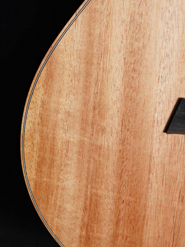 Taylor GS Mini E Mahogany - Authorized Online Dealer