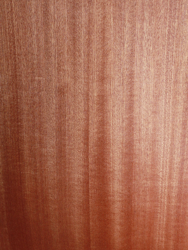 Taylor GS Mini E Mahogany - Authorized Online Dealer