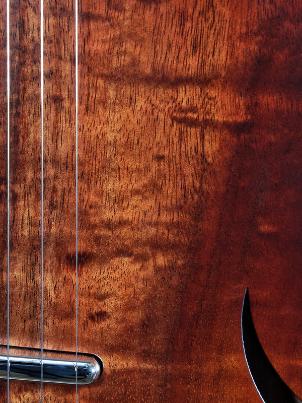 Taylor T5 Classic Koa Top (Full Size T5) Authorized Online Dealer
